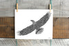 American Bald Eagle - Doodle Series - Fine Art Print