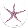 "Starfish of Sand" Vinyl Sticker - Doodle Series - Wholesale