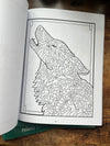 Doodle Alaska 2 Coloring Book - (Wholesale)
