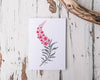 " Doodle Fireweed " Greeting Card