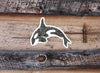 "Doodle Orca Whale" Glossy Vinyl Sticker