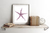 Doodle Sand Starfish"  - Doodle Series - Fine Art Print (Wholesale)"